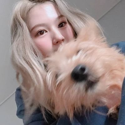 Amo bailar ♡
Dahyun//Sana biased☆゚.*・。゚
~ENFP ~Hufflepuff.。*✿