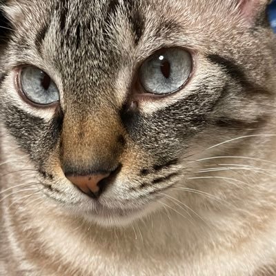 48XbugRvZ3eZWVX's profile picture. 