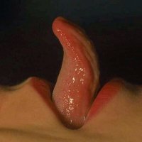 عرب تانجو tango (@moi50739476) 's Twitter Profile