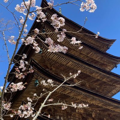 管理栄養士イラストレーターです(「・ω・)「 講演や学会スライド、資料作りにお役立ていただけるように医療系の様々なイラスト作っていきます(人 •͈ᴗ•͈)
