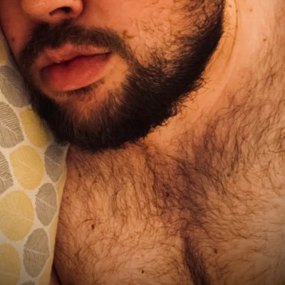 mtbear16's profile picture. A hairy bear who likes to show off and make others happy! What makes you happy?