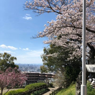 17年リユース事業に携わり、2022年4月から独立しました。日用品、家電、ホビーを中心に販売を行ってます。フォロバ100%させて頂きます! #相互フォロー100 #フォロバ100 #フィギュア