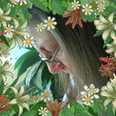 Donna Sue Griffith - @DonnaSueGriff - Twitter