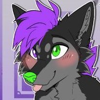 OneDumbWusky Profile Picture