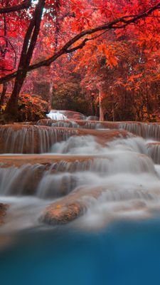 TPoghirc's profile picture. 