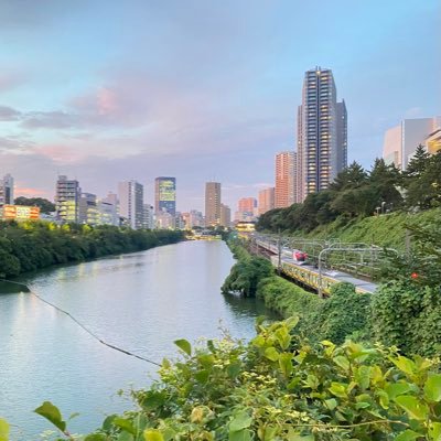 hoseimgtorg2022's profile picture. 