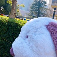 ゆきな (@ganngarrr) 's Twitter Profile