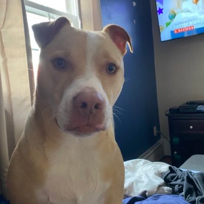 BIGB6452's profile picture. 