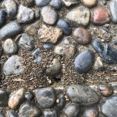 mizutamariworld's profile picture. いろいろ変更中