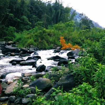 Comunidades de la cuenca del Río Dulcepamba defendiendo el agua y la vida por más de 20 años. #JusticiaDulcepamba 💦