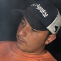 pdot the bot (@pdot511) 's Twitter Profile