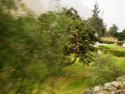 renato_mCAbo's profile picture. .............