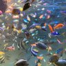 drqmJdlqsAPbm66's profile picture. 大卒(生物とちょっと化学)→社会人、勉強は楽しいかも 面白そうな本探し、放送大学履修