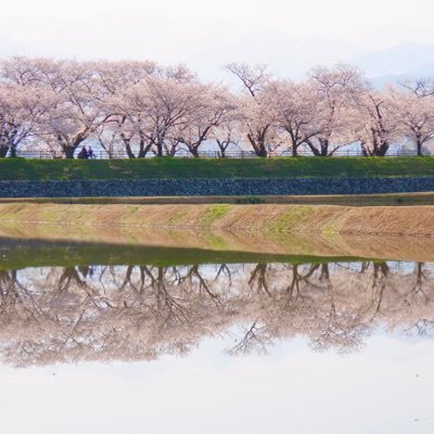 脳卒中を専門とするナースです。脳卒中に関する言葉を患者さんの理解のため読んでいます。匿名性のあるTwitterだからこそ、、ということもあると思っています。無言フォロー失礼します🍀フォロバ100%。副業興味ありません🙅‍♀️