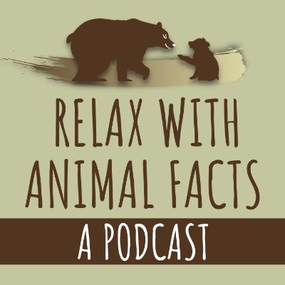 A weekly podcast that is dedicated to helping you unwind while you journey into the swamps, jungles, and seas to learn all about your favorite animals.