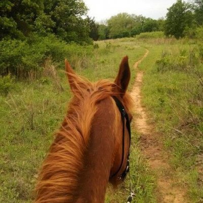 alexrose1221's profile picture. Go forth and let the horse lead the way.