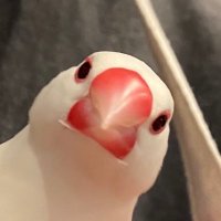 Jack (@jack9138448) 's Twitter Profile Photo Jack (@jack9138448) 's Twitter Profile Photo
