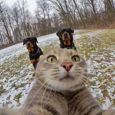 Undeveloped_1's profile picture. 