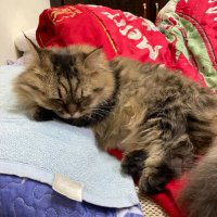 🌠 YIYI☄️ (@jeremyjj00) 's Twitter Profile