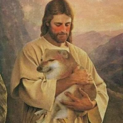 lupita97lm's profile picture. 24 🍃 || Fisioterapia ♿⚕ || ♏🦂 || 🎮🕹️ || 📖📚