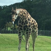 Amberetta (@amberetta14) 's Twitter Profile Photo Amberetta (@amberetta14) 's Twitter Profile Photo