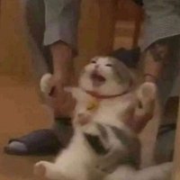 fghjop11550066 (@stexiax) 's Twitter Profile