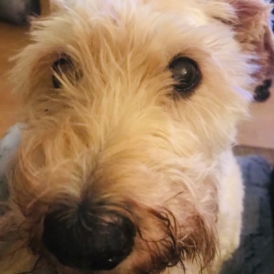 JanePau11425595's profile picture. 