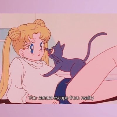 stop trying to make your twitter bio socially acceptable she/her