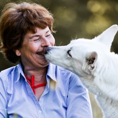 Hilsbos Dog Training 🐕‍🦺 🦮 🐾 Good Dog Training is easy to recognize 🐾 🦮 🐕‍🦺 #zigs #zielgeruchsuche #geruchsdifferenzierung #detection #k9 #dogtraining
