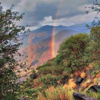 samialqarzai (@samialqarzai) Twitter profile photo