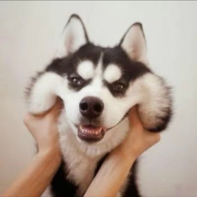 Allenlichenl's profile picture. 帅哥