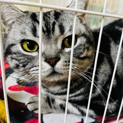 Romainewang631's profile picture. 君子谋道不谋食