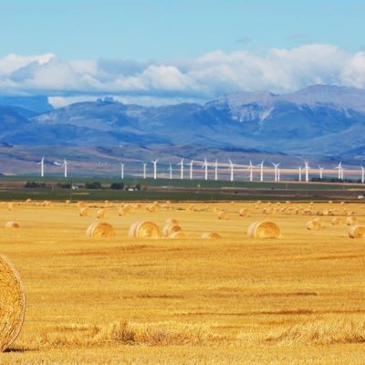 SilentLiandao's profile picture. 