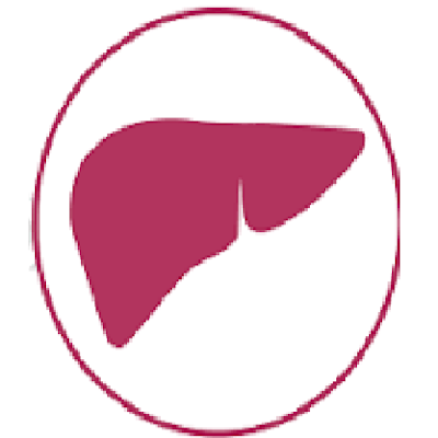 Account for the knowledge of non-viral diseases of the liver, fundamentally PBC & NASH (EHNA)