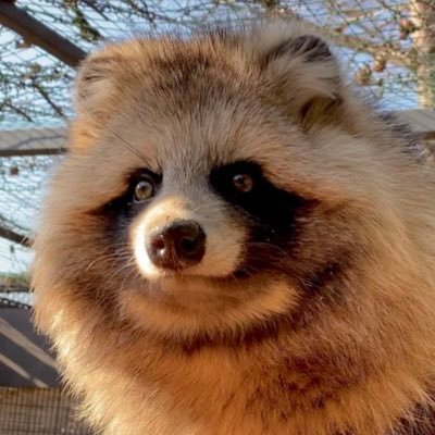 CM作ってた映像ディレクター、企画、脚本、漫画は担当からokが出ない日々。くたびれてきたので現在海外逃亡中🇨🇦
