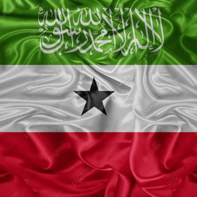 Staunch defender of The Republic of Somaliland, by any means necessary !