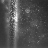 Nanoparticles Trapping Lab (NanoTLab) (@nanotlab) 's Twitter Profile
