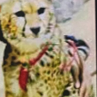 ksa02021's profile picture. - الخاص ممنوع🚫