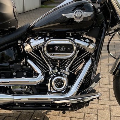 hapesilver1's profile picture. 