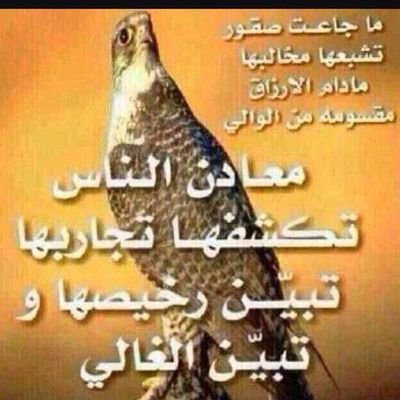ارض وسماء شمس وقمر
اعشق ترابك يا وطن
مصري صعيدي ولي المجد والعز وراثه عن جدودي