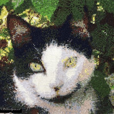 xstitchpix Profile Picture