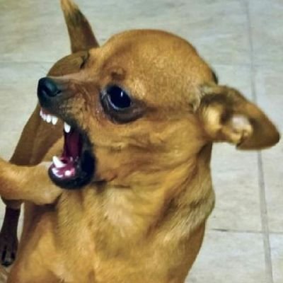 xsthis Profile Picture