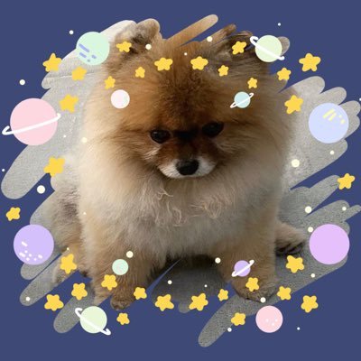blue_sunnyy Profile Picture