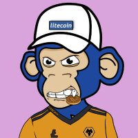 ŁITECOIN Ⓜ️🕸NKEYS NFT(@LitecoinMonkeys) 's Twitter Profileg