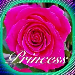 Princes05808656 Profile Picture