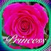 Princess (@princes05808656) Twitter profile photo Princess (@princes05808656) Twitter profile photo