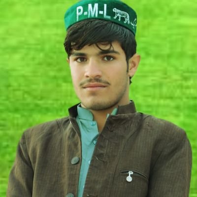 𝐅𝐚𝐳𝐚𝐥 𝐍𝐚𝐬𝐚𝐫 (PMLN)