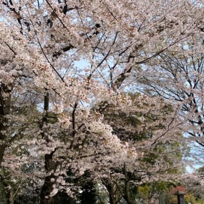 さくさくさんのプロフィール画像