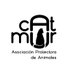 Catmur Asociación Protectora de Animales (@CatmurDe) Twitter profile photo