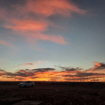 s_c0d's profile picture. كاتب صغير ، تسقط كلماتي من حينٍ لآخر ..